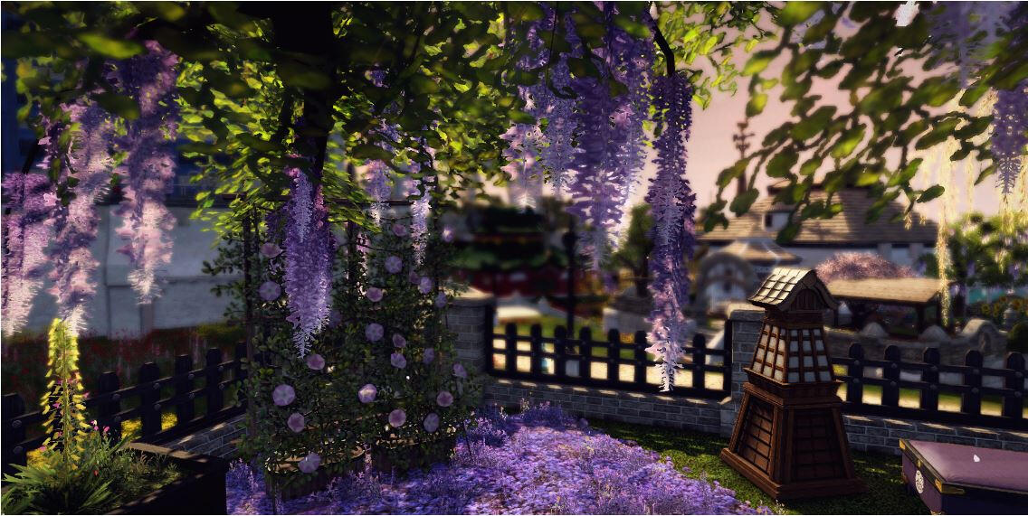 First Place Lanione Modarhanr - Wisteria in the Crit Yard